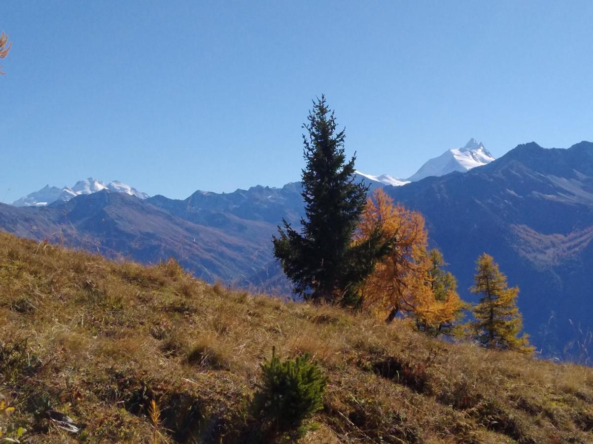 Chalet Waldrand Inden Buitenkant foto