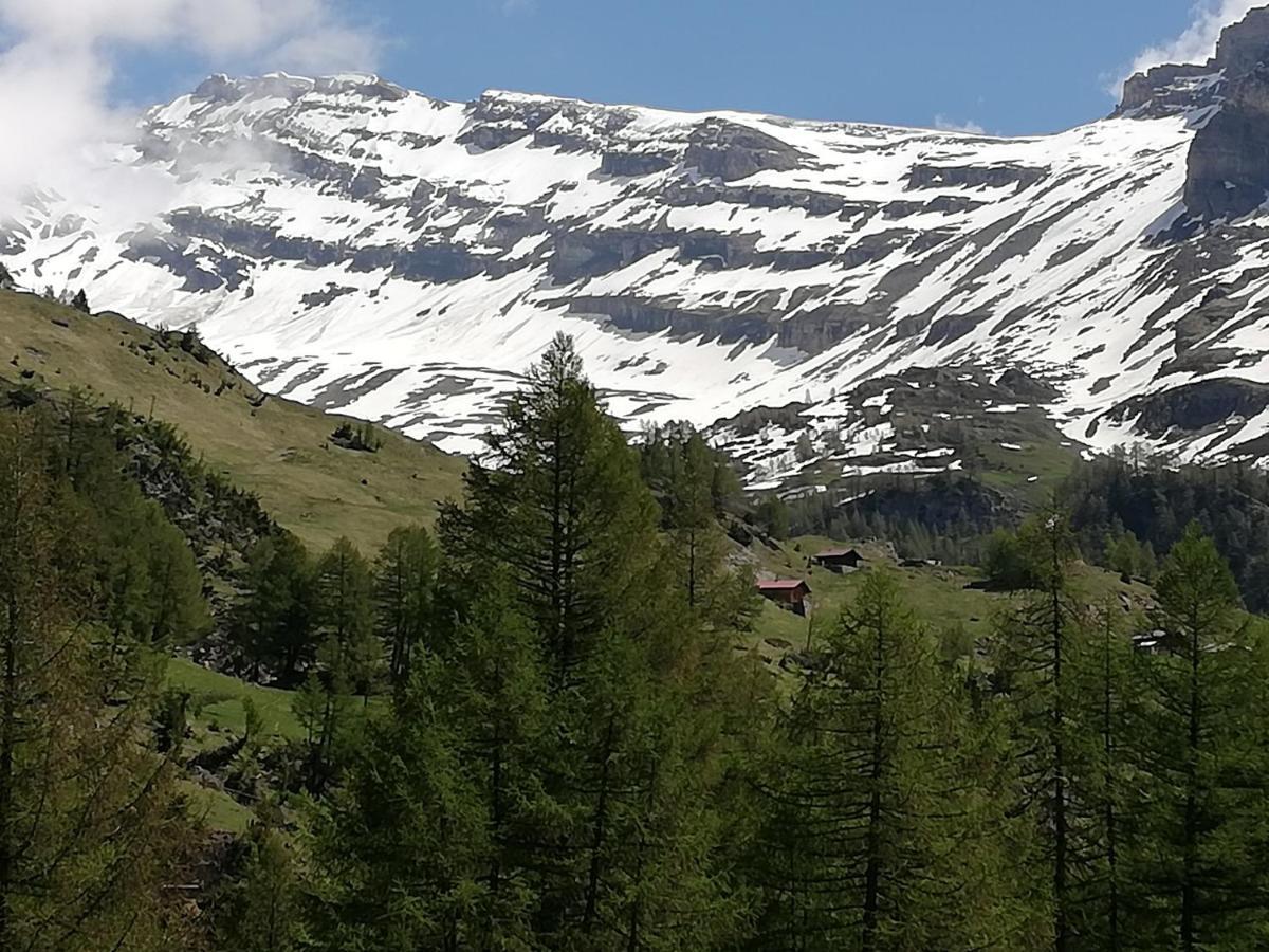 Chalet Waldrand Appartement Inden Buitenkant foto